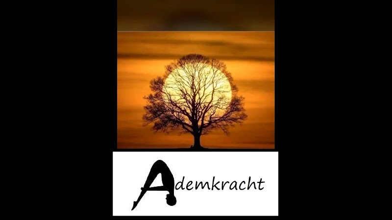 Pilatesstudio Ademkracht - Yoga / Pilates / Mindfulness / Relaxatie / Ademwerk in Wetteren