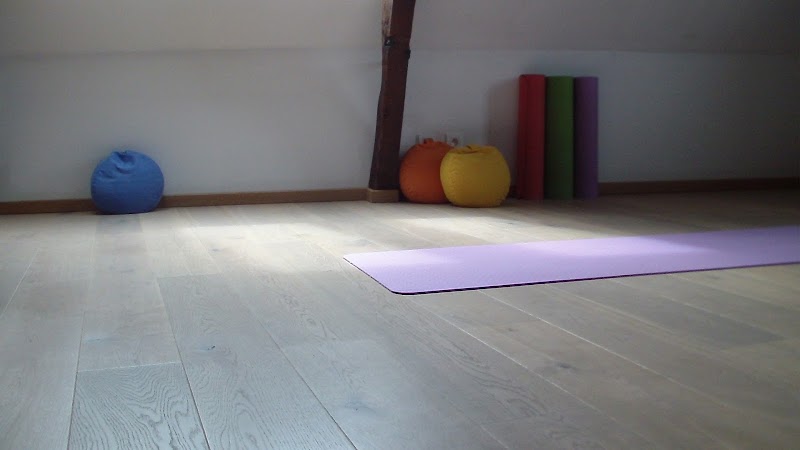 Pilatesstudio Alive And Flowing in Haacht