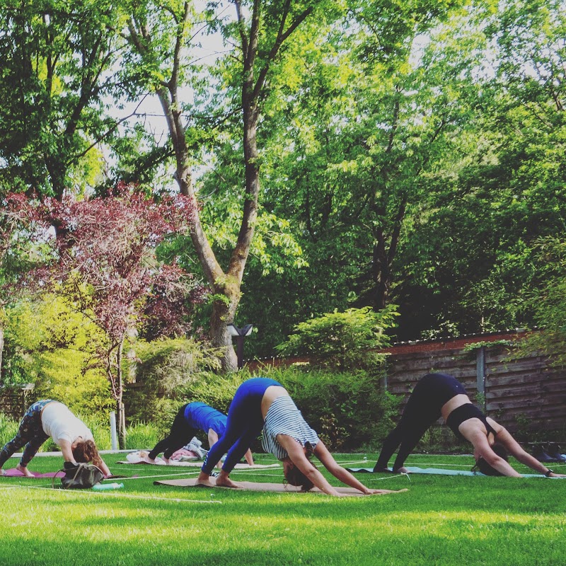Pilatesstudio Grow yoga in Oud-Turnhout
