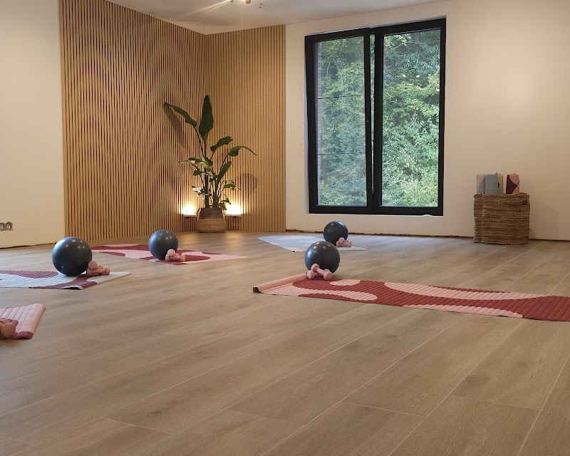 Pilatesstudio Nyla Flow in Bever