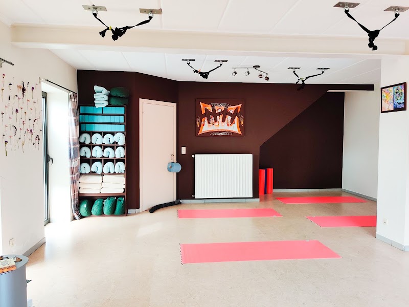 Studio pilates Geluksvlinder - Yoga & Coaching à Waasmunster