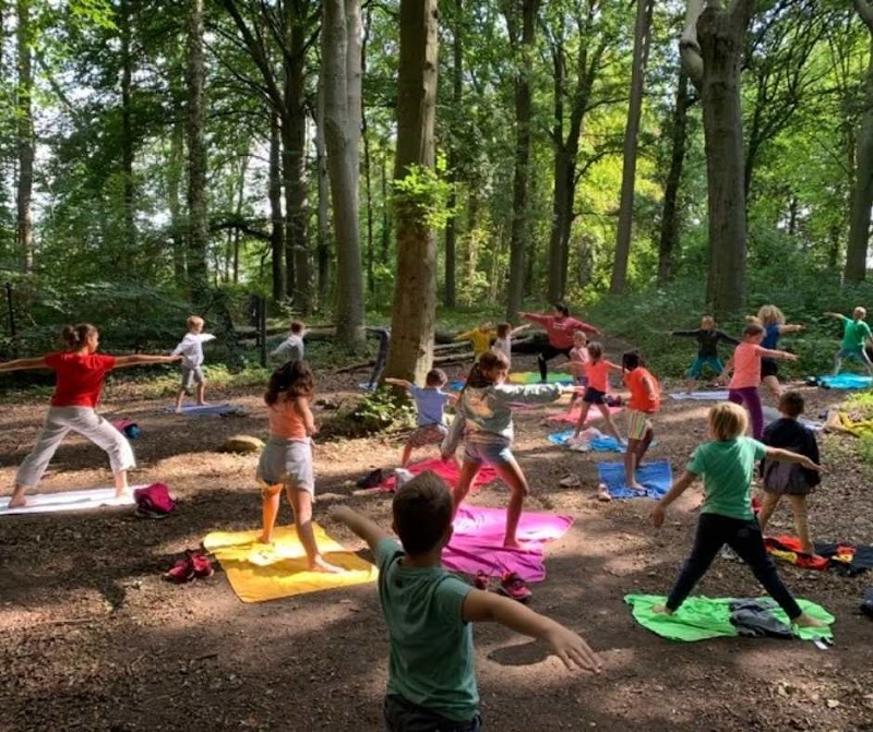 Studio pilates Dynarythmique stages cours yoga à Ecaussinnes