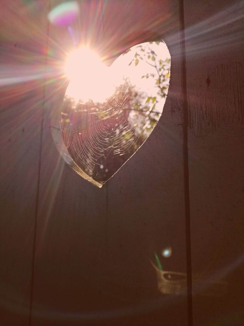 Pilatesstudio Gopala & Zuiveraar in Lichtervelde