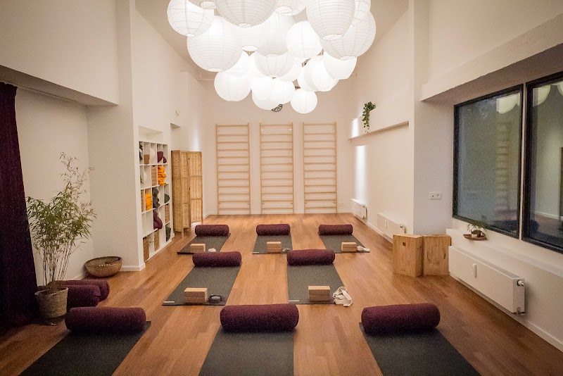 Studio pilates Flow, Centre de Santé par le mouvement à Watermael-Boitsfort