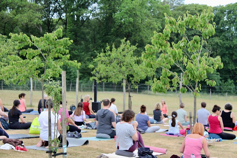 Studio pilates Yoga Devant Les Bois à Fosses-la-Ville