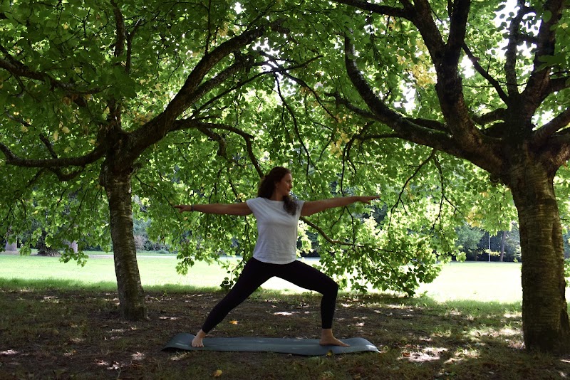 Studio pilates Andrea Yoginutri - Yoga & Nutrition à Le Roeulx