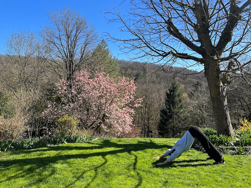 Studio pilates Couleurs Yoga à Fléron