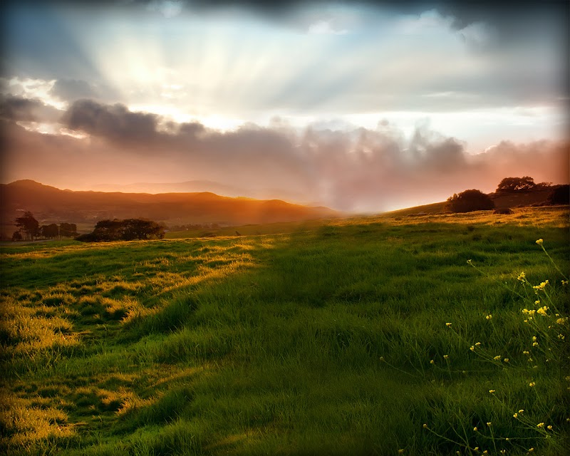 Studio pilates Yoga pas à pas à Sambreville