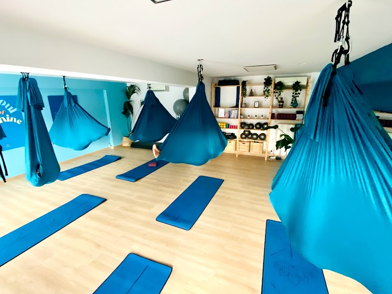 Studio pilates PILATES - PILATES REFORMER - PILATES EN SUSPENSION - YOGA LE CANNET - STUDIO PILATES ATTITUDE