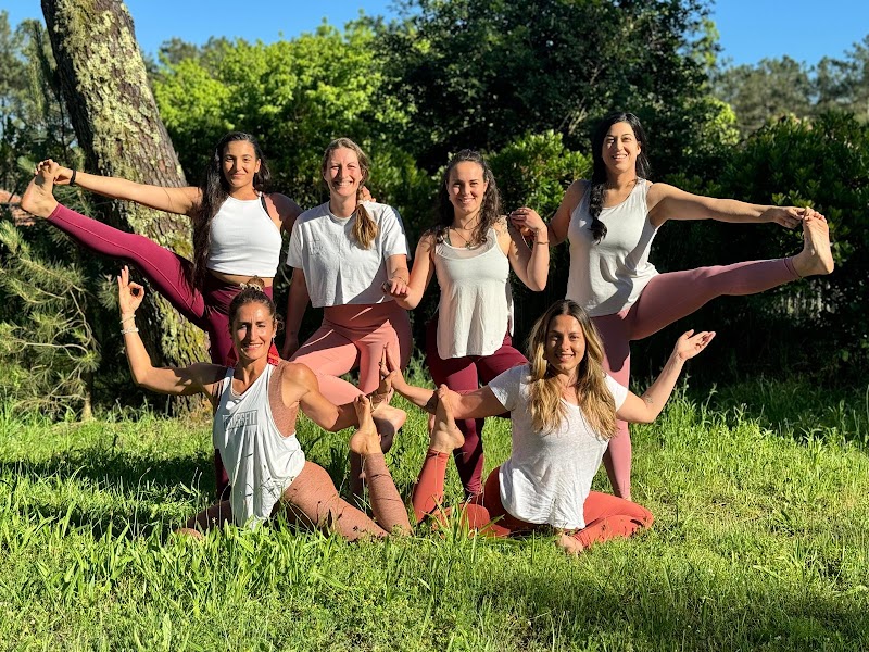 Studio pilates Le Studio sous les pins