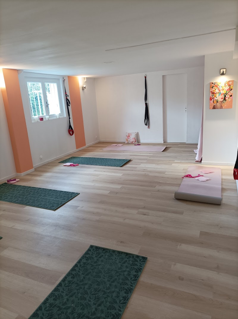 Studio pilates Leonis studio Pilates/de Gasquet Niort