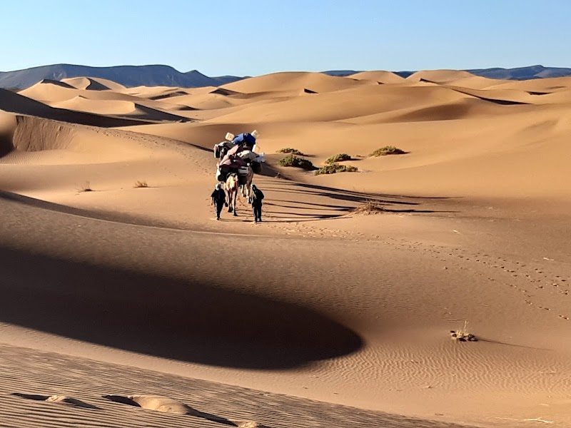 Studio pilates Centre Pilates Equilibre Montpellier
