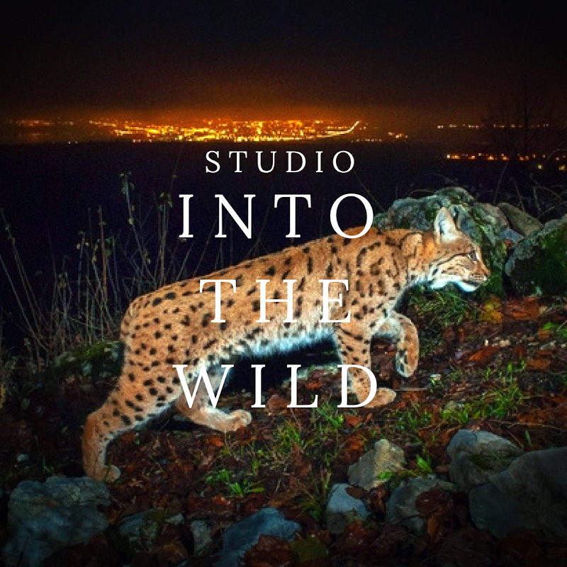 Studio pilates Studio Into The Wild