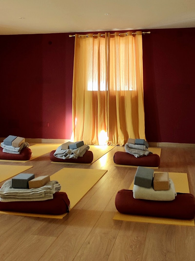 Studio pilates Dharma Yoga Temple