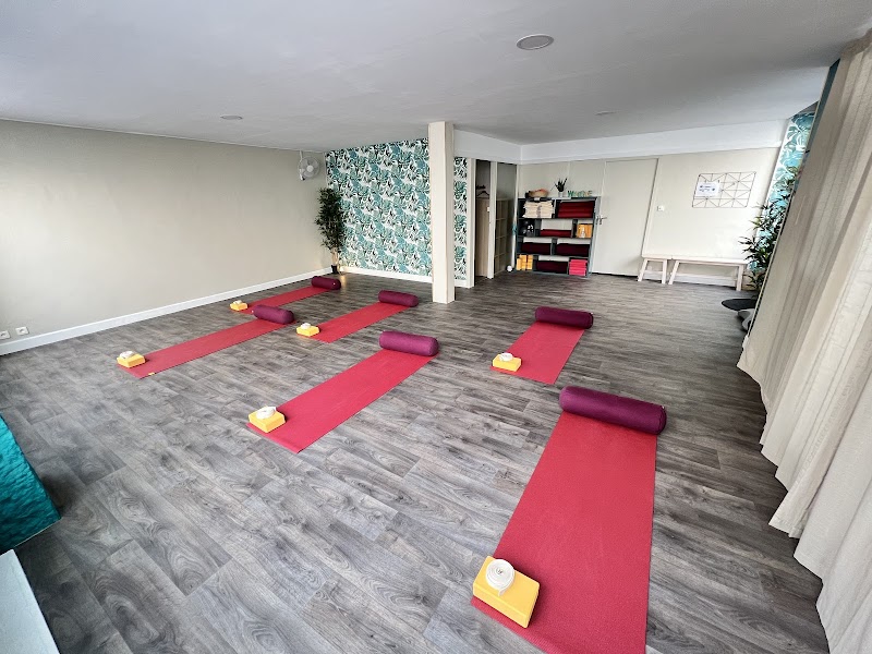 Studio pilates Arbol Flow Yoga & Pilates