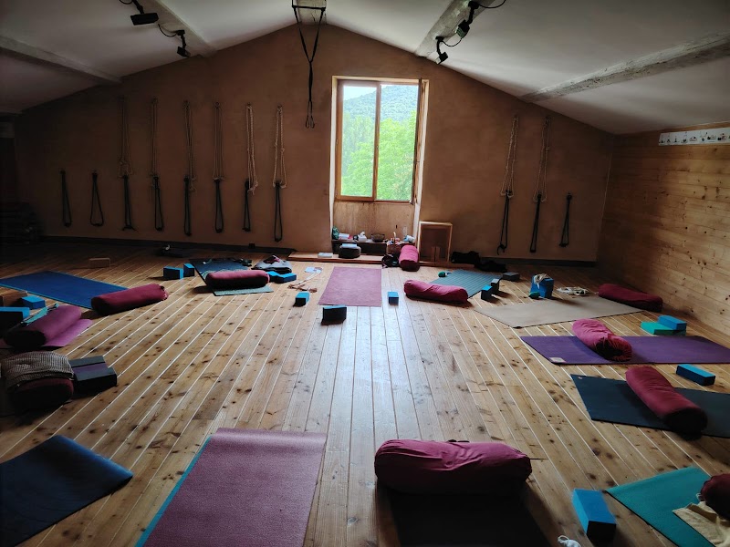 Studio pilates YOGA D'ESTER