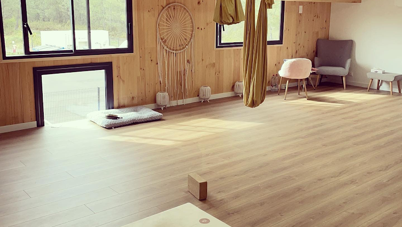 Studio pilates Chloé Truilhé - Harmony Yoga Thérapie - Hypnose, Coaching, EMDR, Shiatsu, Massages, Yoga, Yoga Aérien, Coaching Holistique