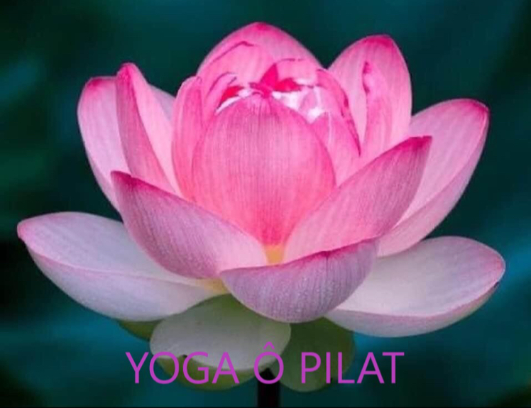 Studio pilates Yoga Ô Pilat