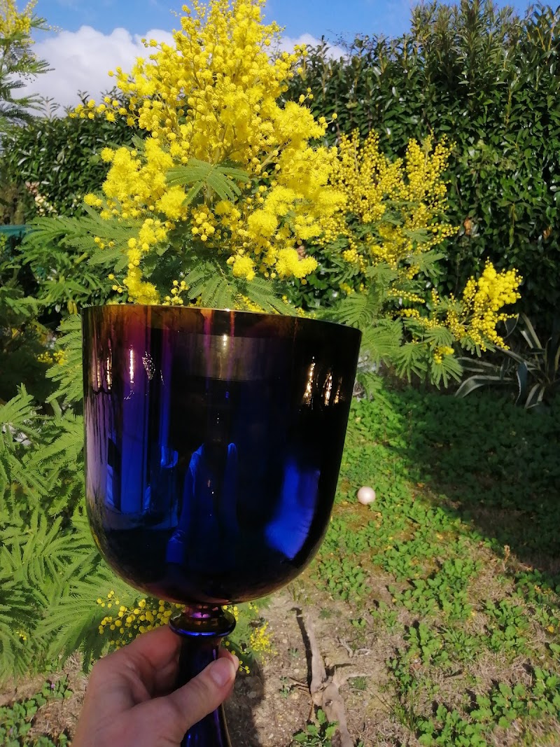 Studio pilates Patricia Elbeze - Temple Vesta