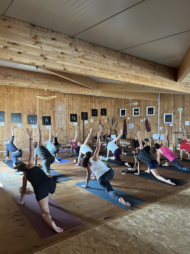 Studio pilates ARENA Studio