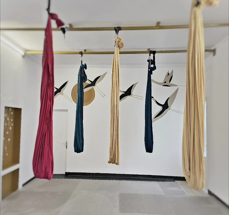 Studio pilates Konnection Studios - Bienêtre - Aérien - Pole - Danse - Acro