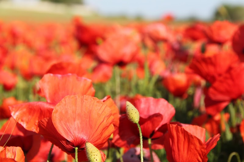 Studio pilates Claire-Lise Galland Yoga