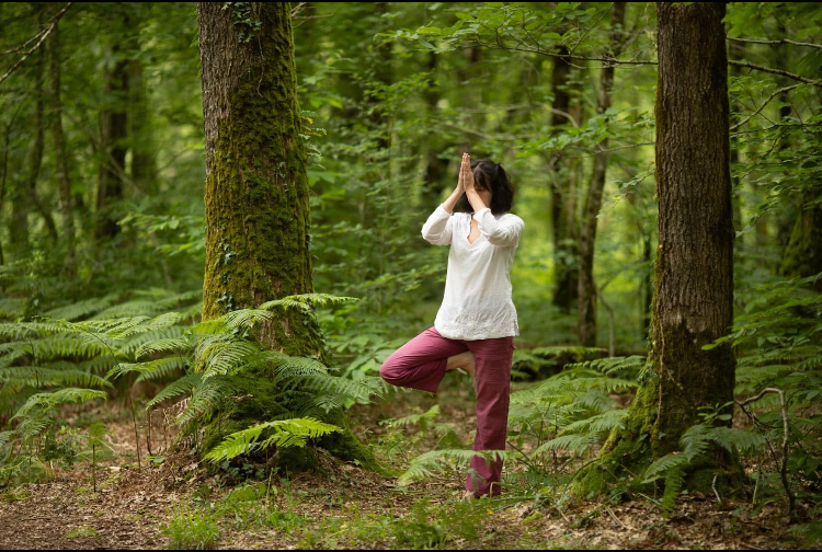 Studio pilates Association Laya (cour de YOGA )