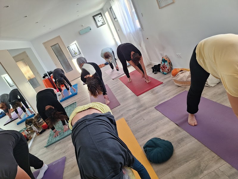 Studio pilates Julie Decocq - Terre à t'Air - Hypnose et Déshypnose - Yoga Danse Pilates Animal Flow