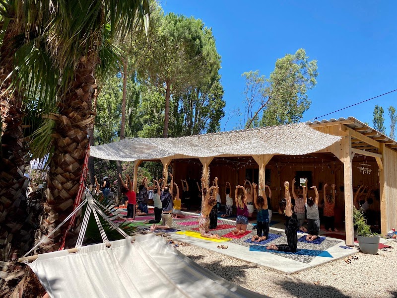 Studio pilates Centre Namaste