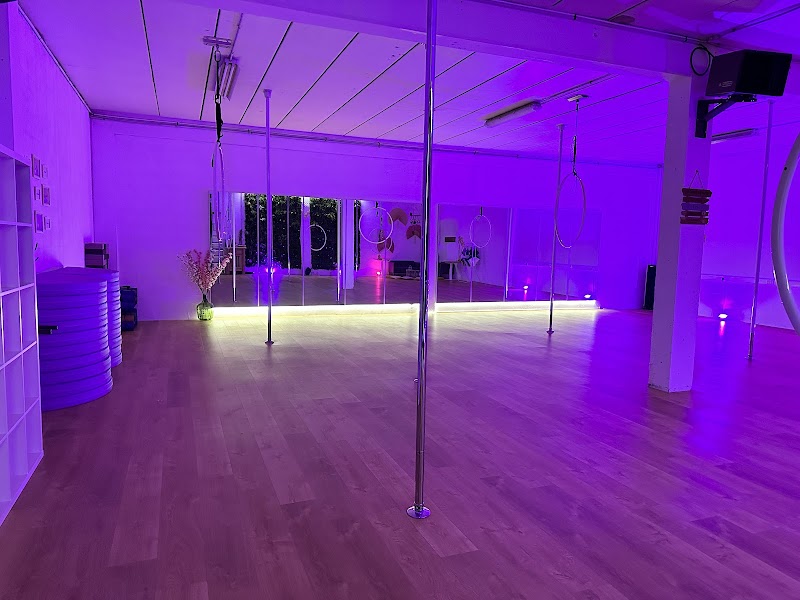 Studio pilates LE STUDIO PRIVE - Domont - La Première école de Pole Dance et de cerceau Aérien du Val d’Oise pour tous