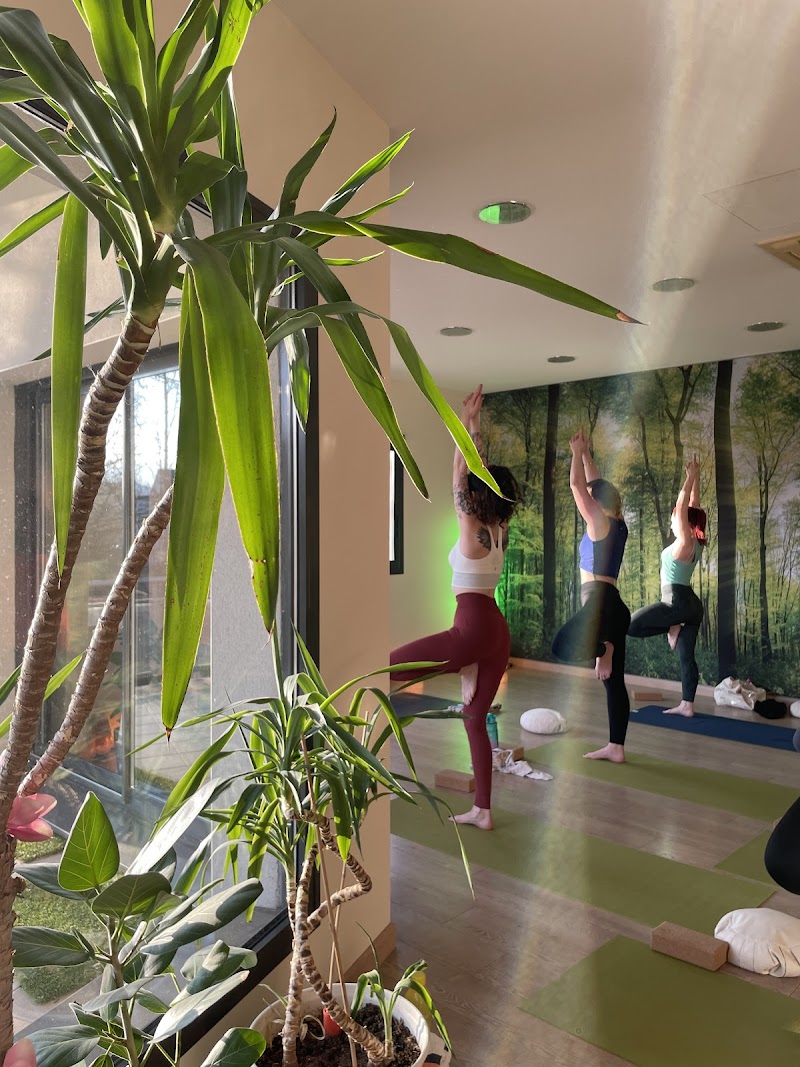 Studio Yoga Dijon – studio pilates à Fontaine-lès-Dijon