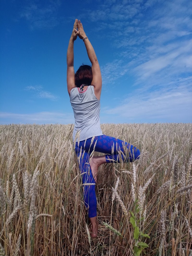 Studio pilates Zem Yoga Bagnols sur Cèze