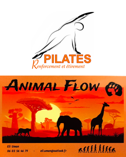 Studio pilates Pilates & Animal Flow avec Eli - Pierrefonds & Tracy