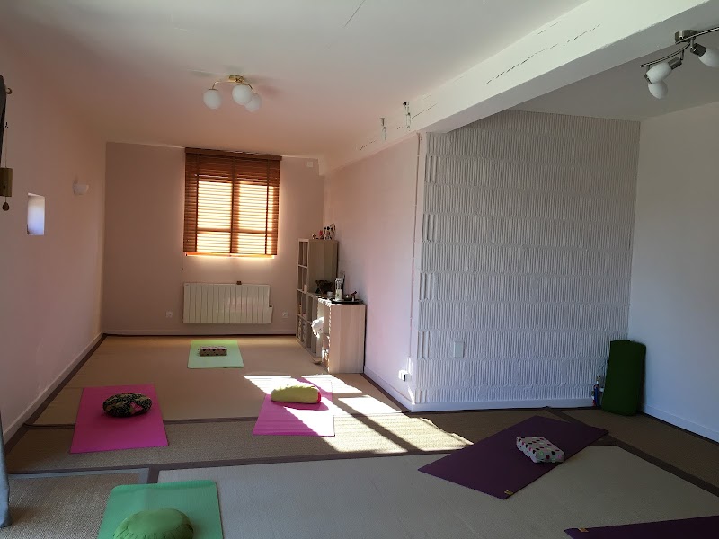 Studio pilates ShantiHome Yoga Louhans