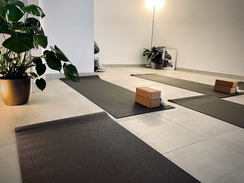 Studio pilates Osteo&Yoga à Biscarrosse