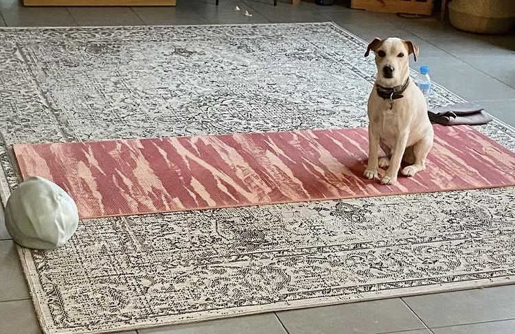 Studio pilates Jennifer James Pilates