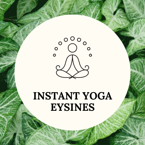 Studio pilates instant yoga eysines