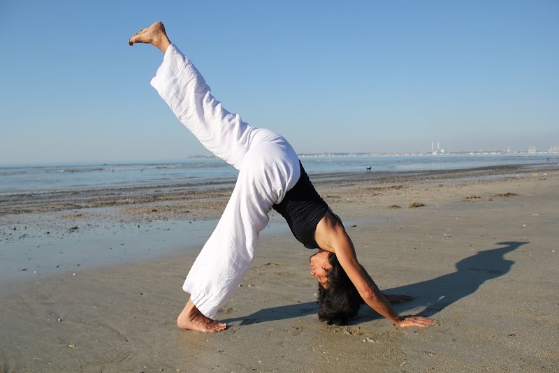 Studio pilates Le Lotus Blanc