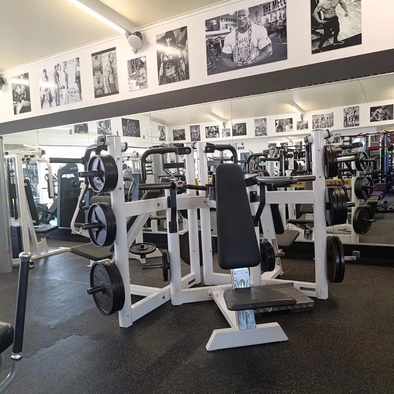 Studio pilates Gold Fitness