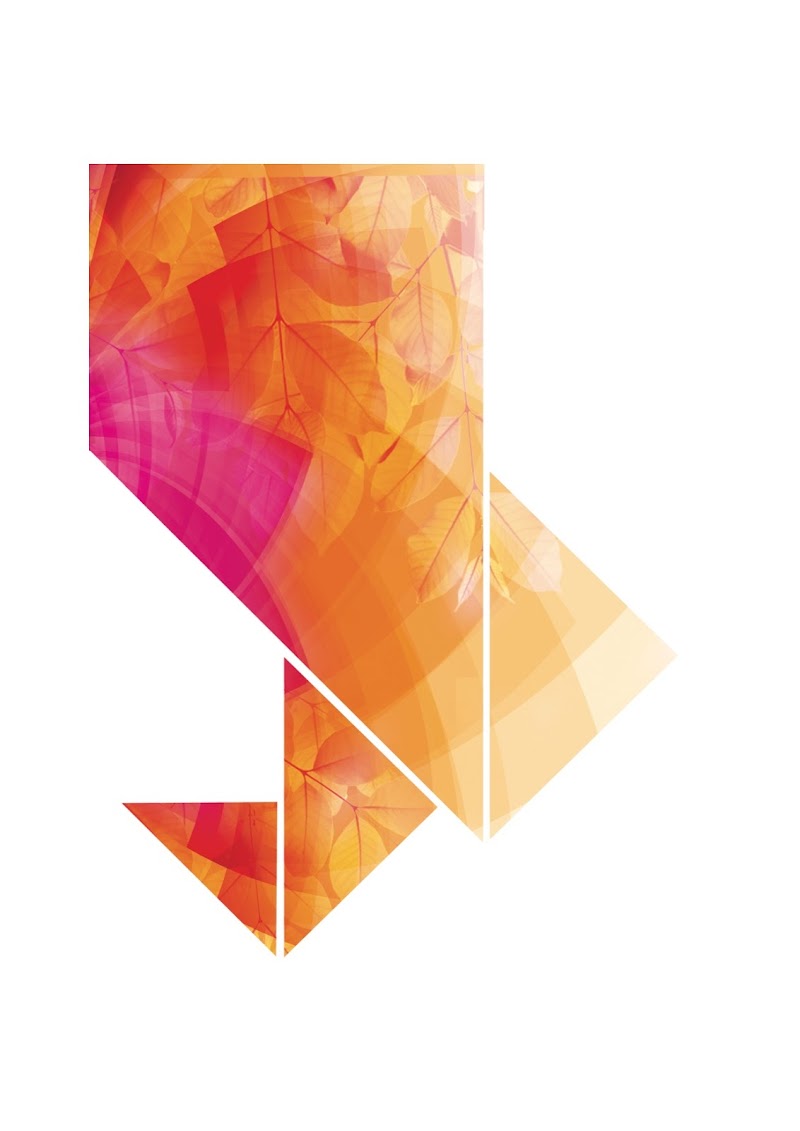 Studio pilates Espace Lilas