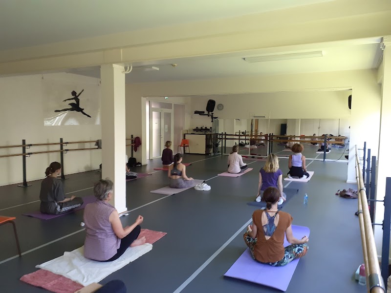Studio pilates YOGA VINIYOGA STUDIO yoga traditionnel pour tous et yoga Séniors Colmar & alentours