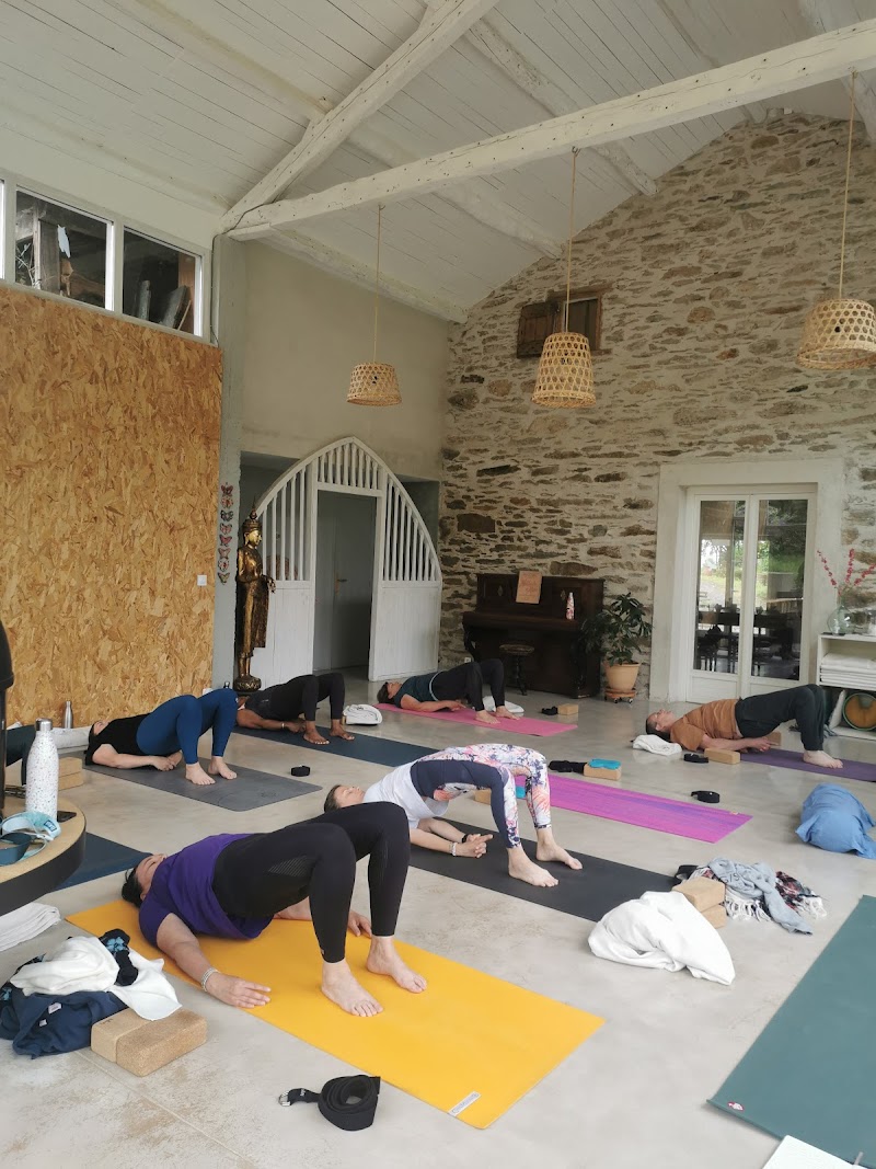 Studio pilates Utopia Pilates & Yoga