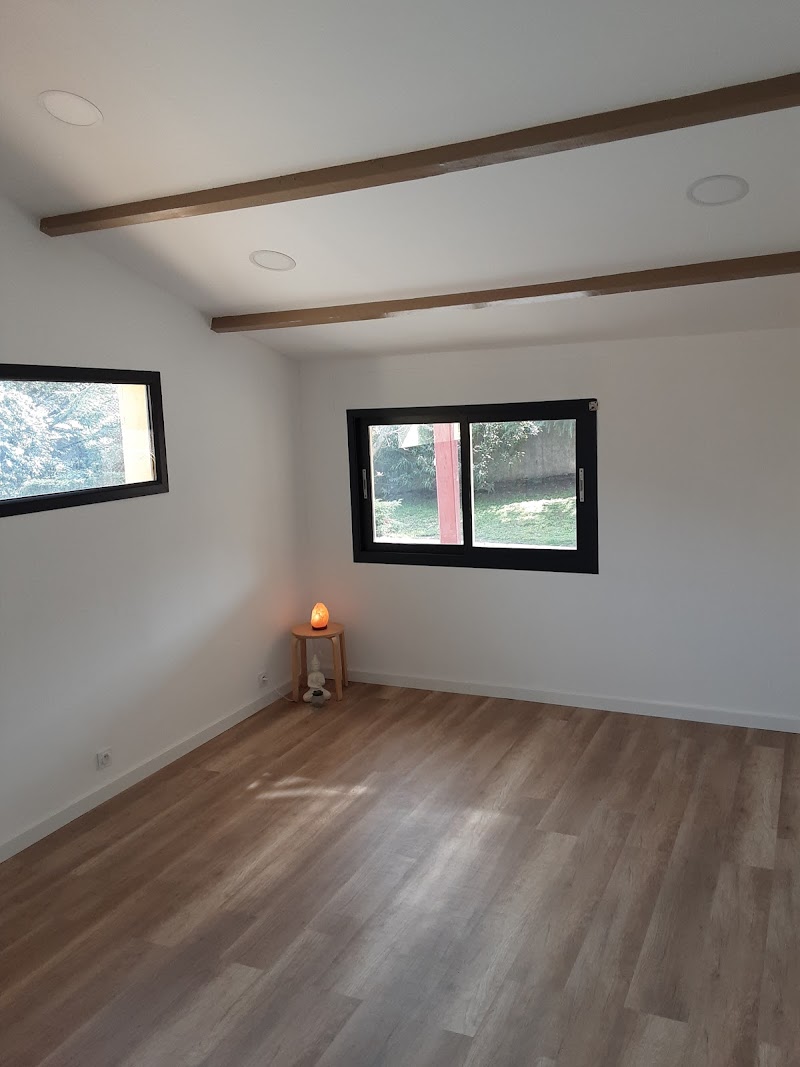 Studio pilates Studio V Pilates Virginie Coussiere Association Mouvements et Cie