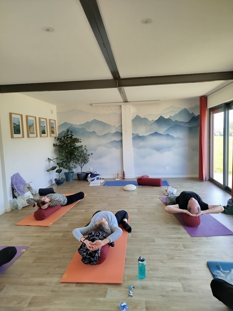 Studio pilates Cours de yoga Valérie Hérault
