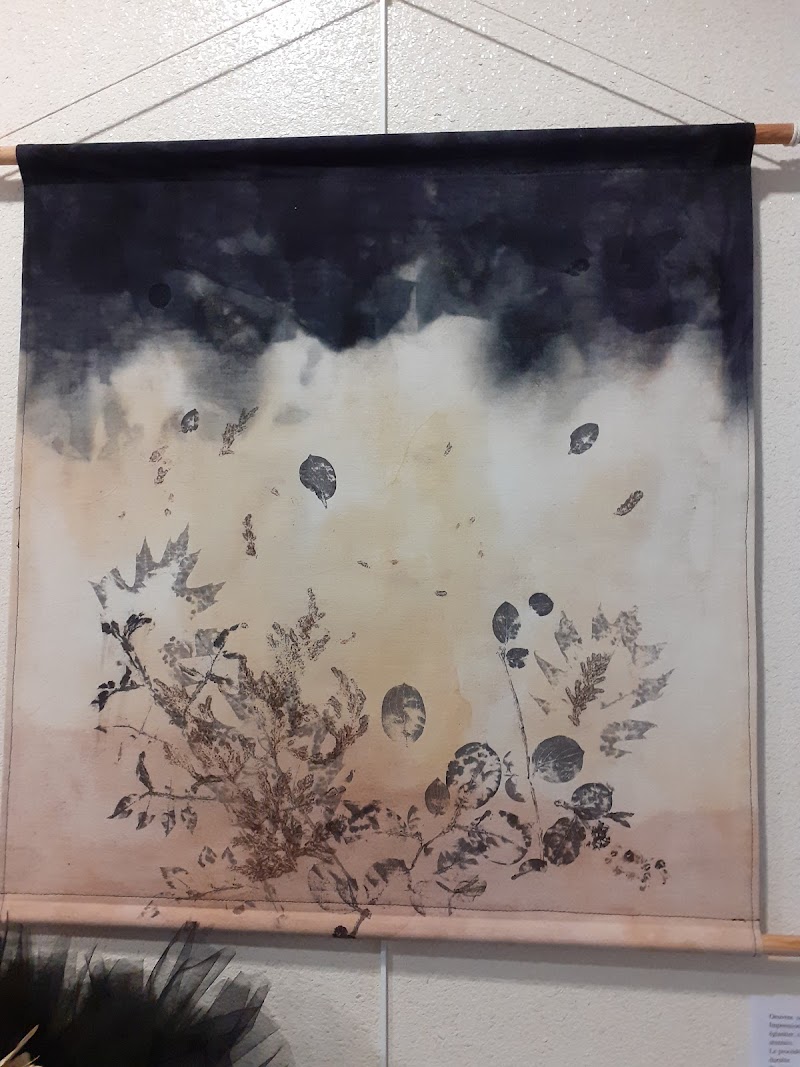 Studio pilates Maison Expression Loisirs Issoudun (MELI)